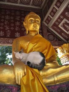 Buddha is so cuddly:) 